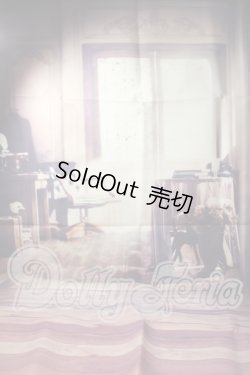 画像1: SD/背景布 U-26-04-15-211-TN-ZU