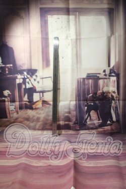 画像2: SD/背景布 U-26-04-15-211-TN-ZU