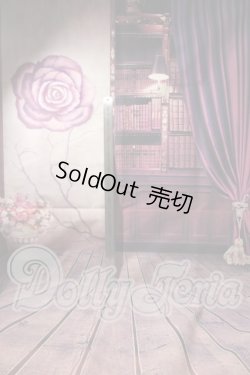 画像4: SD/背景布 U-26-04-15-211-TN-ZU