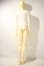 画像6: RS DOLL/NEW　EVAN A-26-09-30-1098-TN-ZU (6)