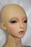 画像2: RSDOLL/NEW EVAN A-25-05-07-1097-TN-ZU (2)