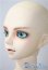 画像3: SDGr男の子/フルチョイスF-47 U-25-05-13-217-TN-ZU