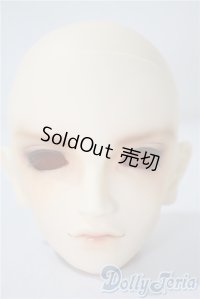 SD/フルチョイスF-50ヘッド U-25-05-13-214-TN-ZU