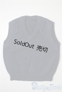画像1: SDM＆MSD/OF:トップス　ベスト U-25-05-20-028-KD-ZU