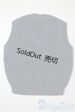 画像2: SDM＆MSD/OF:トップス　ベスト U-25-05-20-028-KD-ZU