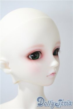 画像2: SD13女の子/F-54　フルチョイス/オーダーメイク　PSホワイト U-25-05-20-220-KD-ZU