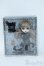 画像2: Little Pullip+/Noir(ノアール) Y-25-05-21-135-TN-ZY (2)
