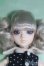 画像1: Ｊ－ＤＯＬＬ／モンテナポレオーネ I-25-05-25-1032-TN-ZI (1)