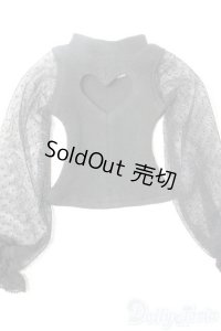 DD/OF:ワンピース A-25-05-28-1012-TN-ZU