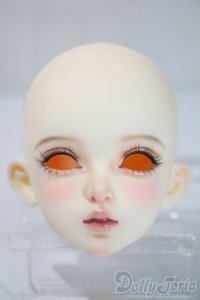 Petit Soiree/Etolie : Dahlia Head - Normal (Make up by Kana) A-25-05-28-1044-KD-ZU