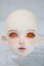 画像1: Petit Soiree/Etolie : Dahlia Head - Normal (Make up by Kana) A-25-05-28-1044-KD-ZU (1)
