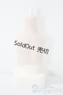 画像2: MDD/ラジカル様 DD-f3版MDDM胸+ A-25-05-28-1100-TN-ZU