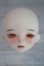 画像1: Asleep Eidolon/1/4/Mini Cor Half Sleeping　ヘッド A-25-06-04-1002-KD-ZU (1)