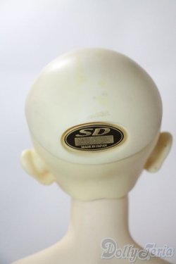 画像5: SDGrB/フルチョイスF-17 U-25-05-27-213-TN-ZU