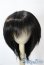 画像1: 8-9inch/ウィッグ U-25-06-05-163-TN-ZU (1)