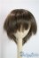 画像1: 8-9inch/ウィッグ U-25-06-10-011-TN-ZU (1)