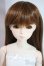 画像1: パラボックス/47　女の子 A-25-06-04-1096-KD-ZU (1)