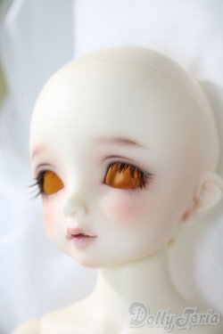 画像3: SDM女の子/コーディネートモデルF-50 U-25-06-05-212-TN-ZU