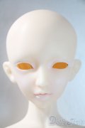 AS　DOLL/1/4AMY A-25-05-28-1048-TN-ZU