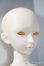 画像2: AS　DOLL/1/4AMY A-25-05-28-1048-TN-ZU (2)