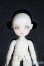 画像1: brownie/NENE A-25-06-04-1093-TN-ZU (1)