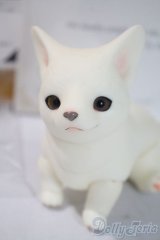 dearｍine/golgi basic A-25-06-04-1091-TN-ZU