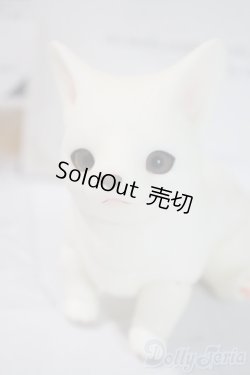 画像1: dearｍine/golgi basic A-25-06-04-1091-TN-ZU
