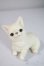 画像3: dearｍine/golgi basic A-25-06-04-1091-TN-ZU (3)