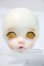 画像5: neo angelresion/imda3.0：Angelique 2Heads+1Body A-25-05-28-1047-TN-ZU