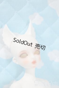 画像3: elfinstore/1/7ココアS A-25-06-04-1094-TN-ZU