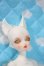 画像3: elfinstore/1/7ココアS A-25-06-04-1094-TN-ZU (3)