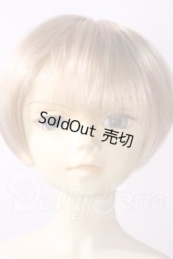 画像1: SD13男の子/フルチョイス旧29番 U-26-06-17-216-TN-ZU