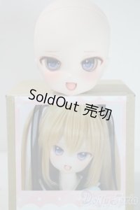 DD/DDH-01カスタムヘッド(AK*DOLL様製) A-25-06-04-1088-TN-ZA