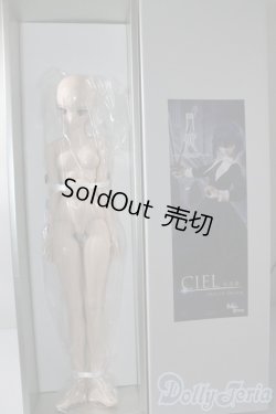 画像2: DD/シエル　月姫 -A piece of blue glass moon- I-25-06-11-1041-TN-ZI