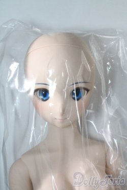 画像3: DD/シエル　月姫 -A piece of blue glass moon- I-25-06-11-1041-TN-ZI