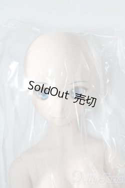 画像3: DD/シエル　月姫 -A piece of blue glass moon- I-25-06-11-1041-TN-ZI