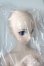 画像4: DD/シエル　月姫 -A piece of blue glass moon- A-25-06-11-1041-TN-ZU