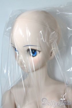 画像5: DD/シエル　月姫 -A piece of blue glass moon- I-25-06-11-1041-TN-ZI