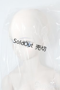 画像5: DD/シエル　月姫 -A piece of blue glass moon- I-25-06-11-1041-TN-ZI