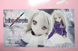 画像1: MDD/イリヤ A-25-06-11-1037-TN-ZU