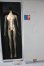画像1: DOLLZONE/B75-001 Boy Body A-25-06-11-1049-TN-ZU (1)