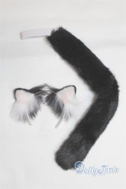 画像1: MSD/猫耳カチューシャ＆尻尾 U-25-07-01-224-TN-ZU