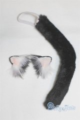 MSD/猫耳カチューシャ＆尻尾 U-25-07-01-225-TN-ZU