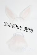 SD/OF：兎耳＆尻尾 U-25-07-01-227-TN-ZU