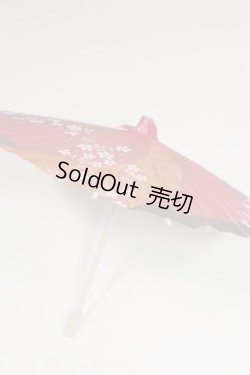 画像2: SD＆DD/和傘 U-25-06-24-223-TN-ZU