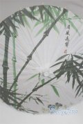 SD＆DD/和傘 U-25-07-01-242-TN-ZU