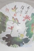 SD＆DD/和傘 U-25-06-03-225-TN-ZU