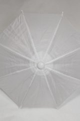 SD/OF：ビニール傘 U-25-06-24-259-TN-ZU