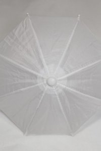 SD/OF：ビニール傘 U-25-06-24-259-TN-ZU