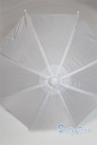 SD/OF：ビニール傘 U-25-07-01-237-TN-ZU